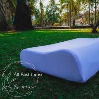 ราคา หมอนยางพารา แท้ 100% (Latex pillow ) (5104006529)