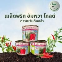 ราคา อัมพวาโกลด์ เมล็ดพริกลูกผสม ขนาด 20 กรัม ตราตะวันต้นกล้า (26906683267)