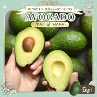 ราคา อโวคาโด จำนวน 6 ลูก อะโวคาโดแฮส avocado (18237470758)