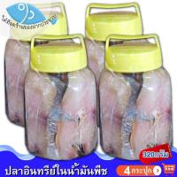 ราคา ไต๋ฮ๊อด ปลาอินทรีย์เค็มในน้ำมันพืช (เล็ก) 320กรัม 4กระปุก ปลาอินทรีย์ ปลาอินทรี ปลาอินทรีย์ในน้ำมัน (5891609687)