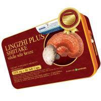 ราคา [ใช้โค้ดส่วนลด BAPM ลดทันที 100 บาท - พร้อมส่ง] หลินจือ พลัส ชิตาเกะ Lingzhi Plus Shiitake ชนิด 60 แคปซูล/กล่อง (1870781694)
