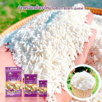 ราคา ข้าวเหนียวเขี้ยวงูแท้ตราจัสมิน 14 กิโลกรัม/1ถุง ข้าวเหนียวใหม่ (25497321742)