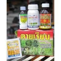 ราคา ตายเรียบ ยาฆ่าหญ้าในนาข้าว รัวข้าว ขายดีอันดับ1 ต้นตำหรับยาฆ่าหญ้าในนาข้าว (19424431651)