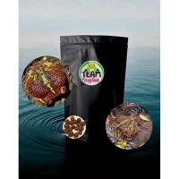 ราคา อาหารกบ ฮอร์นฟรอก200g-TeamFrogfoodอาหารปั้นกบโปรตีนสูง-ผสมวิตาม+แคลเซียม (42563942244)