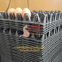 ราคา พร้อมส่งแผงไข่ แผงไข่พลาสติก ดำ ที่ใส่ไข่ขนาดใหญ่ 31×31.5×4-6ซมไข่เป็ด,ไข่ไก่ เบอร์0-1 ซื้อมากต้องสั่งหลายครั้ง (9662837958)