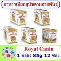 ราคา อาหารเปียกสุนัข Royal Canin Chihuahua /Pom /Poodle /ชิสุ/ Yorkshire 1 กล่อง (85g 12 ซอง) (1646149509)