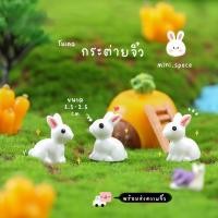 ราคา O-mini โมเดลกระต่ายจิ๋ว ตุ๊กตากระต่ายสีขาว (ราคาต่อชิ้น) MS0012 โมเดลจิ๋ว ตุ๊กตาจิ๋ว ฟิกเกอร์ ตุ๊กตาเรซิ่น แต่งบ้าน แ... (3928465749)