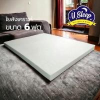 ราคา ใยสังเคราะห์ที่นอนปิคนิค 6 ฟุต หนา4นิ้ว เคลือบกันยุบ2ชั้น ท็อปเปอร์ ไส้ที่นอนปิกนิก ใยเปล่า แผ่นใยสังเคราะห์ (20592418109)