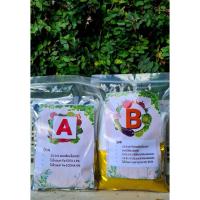 ราคา ปุ๋ยA+B STOCK 10ลิตร สูตรสำหรับผักกินใบ ผักสลัด ผักไทยทุกชนิด (22762244740)