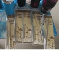 ราคา หลอดสแตนเลสพร้อมแปรง (2205853810)