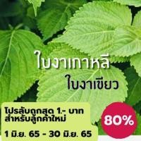 ราคา เมล็ดใบงาเขียว(เกาหลี) 1000 เมล็ด (17169445540)