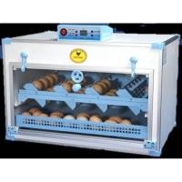 ราคา ตู้ฟักไข่อัตโนมัติ ตราไก่ดำ ความจุ 72 ฟอง ระบบดิจิตอล เครื่องฟักไข่อัตโนมัติ (5086321255)