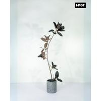 ราคา ต้นไม้ปลอม ต้นยางอินเดียใบดำ ต้นยางอินเดียปลอม ต้นไม้ประดิษฐ์เสมือนจริงเกรดพรีเมี่ยมลำต้นเสริมเหล็ก (22589852173)