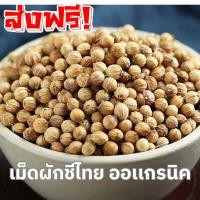 ราคา MK ซื้อ1เเถม1 เม็ดผักชี เม็ดผักชีไทย เม็ดผักชี เมล็ดผักชี เม็ด เมล็ดผักชีไทย Coriander seeds ผักชี ผักชีไทย ผักชี (43000162604)