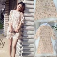 ราคา Normal Ally Present Classy lace summer dress (เดรสลูกไม้ , (1023682811)