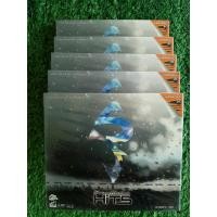 ราคา VCD คาราโอเกะ เพลง (สินค้ามือ 1) Silly​ Fools​ -​ Silly​ Fools​ Hits มี 28 เพลงฮิต (13359217026)