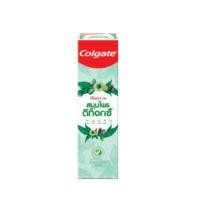 ราคา Colgate คอลเกต ยาสีฟัน ปัญจเวท สมุนไพร ดีท็อกซ์ 120 กรัม Panjaved Detox Herbal Toothpaste (22220162083)