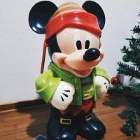 ราคา พร้อมส่ง จาก Walt disney รุ่นเก่าอเมริกาลดราคา สินค้าเป็นมือสอง (25789089118)