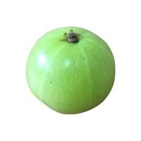 ราคา มะขามป้อม - ลูกมะขามป้อม แก้ไอ สมุนไพรไทยชั้นดี ผักผลไม้สดใหม่ (11689533877)