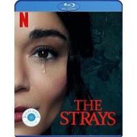 ราคา แผ่น Bluray หนังใหม่ The Strays (2023) คนหลงทาง (เสียง Eng /ไทย | ซับ Eng/ไทย) หนัง บลูเรย์ (23866863496)