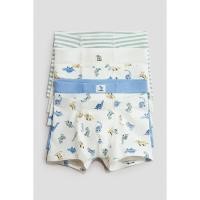 ราคา H&M(เอชแอนด์เอ็ม) ชุดกางเกงในทรงบรีฟ 5 ชุด เด็กชาย 1010214_3 (56805398460)