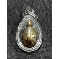 ราคา พญาเต่าเรือน รุ่นมงคลมหาลาภ ย้อนยุค หลวงพ่อเงิน วัดบางคลาน ปี52 เลี่ยมกันน้ำพร้อมใช้ พิธีใหญ่ (11884369665)