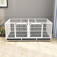 ราคา กรงสุนัขขนาดใหญ่ / กรงแมว / กรงแมววิลล่าขนาดใหญ่ พื้นที่ว่าง / กรงแมว (24634398765)