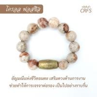 ราคา กำไล หินโครอล ฟอสซิล ร้อยรวมกับตะกรุด ลูกสะกด รุ่นแรก พระอาจารย์ตุ๋ย วัดนิมิตโพธิญาณ อ.เพ็ญ จ.อุดรธานี ขนาด 14 มม. (20154483828)