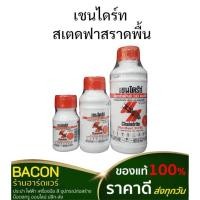 ราคา เชลล์ไดร์ท สเตดฟาสราดพื้น (ราดปลวก) เชนไดร้ท์ น้ำยากำจัดปลวก ฆ่าปลวก แบบเข้มข้น (18321056511)