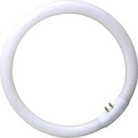 ราคา หลอดไฟฟลูออเรสเซนต์ทรงกลมประหยัดพลังงาน T5 22W T6 32W O Type 40W 55W แบบติดเพดาน สีหลักสามสี สำหรับใช้ในบ้าน (54851375706)