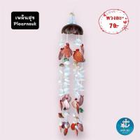 ราคา โมบายกะลา & หอย (จิ๋ว) / เปลือกหอย โมบายแขวน งานประดิษฐ์ (40704875572)