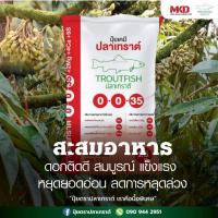 ราคา 0-0-35 ปุ๋ยตราปลาเทราต์ สูตร 0-0-35 +2Mg +4Ca +5S (pH 11) ใช้อัตรา 3-5 ขีดต่อต้น (41872742689)