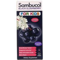 ราคา Sambucol,Black Elderberry Syrup,For Kids, Berry Flavor (120ml) (4223843970)