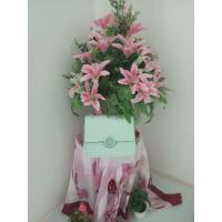 ราคา กระเป๋าสะพายข้าง พิมมี่ (5159529010)
