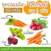 ราคา เมล็ดพันธุ์ผักกินหัวรวม 200เมล็ด บีทรูท แรดิช เบบี้แครอท แครอทยักษ์ (แถมฟรี เมล็ดผักทุกออเดอร์) (4436110618)