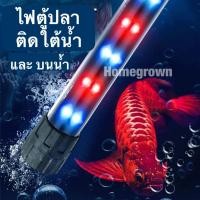 ราคา หลอดไฟตู้ปลา ไม้น้ำ สำหรับตู้ขนาด 24 - 44 นิ้ว พร้อมส่ง (24066151737)