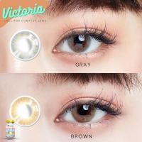 ราคา คอนแทคเลนส์Victoria Brown / Gray (Lollipop) ขนาดมินิ (4184678814)