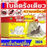 ราคา กาวดักหนู แผ่นกาวดักหนูสำเร็จรูป พร้อมถาด ที่ดักหนู ไม่มีกลิ่น หนูตายอยู่กับที่ ไม่ต้องหาซาก (29811646184)