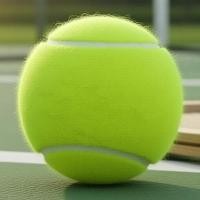 ราคา แชมป์ DTBATP ลูกเทนนิสแบบกระป๋อง 3 ลูกต่อกระป๋อง จํานวน 3 กระป๋อง (57156196256)