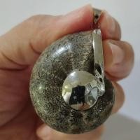 ราคา Ammonite pendant จี้ แอมโมไนต์เต็มตัว หอย แอมโมไนต์ หอยล้านปี จี้หอยแอมโมไนต์ คตหอย ใส่พกติดตัว เพิ่มพลัง แอมโมไนท์ (25942019979)
