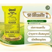 ราคา ปุ๋ยสูตรเสมอ ตรากระต่าย 16-16-16 แบ่งขาย บรรจุ 15 กิโลกรัม (41161396674)