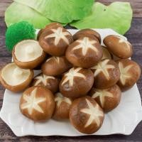 ราคา เห็ดหอมปลอม เห็ดหอมสด เห็ดหอมตกแต่งจานอาหาร ตกแต่งร้านค้า ตู้โชว์สินค้า อุปกรณ์ประกอบฉาก พร๊อพถ่ายรูปสินค้า (41001127234)