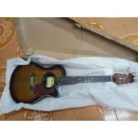 ราคา กีต้าร์ไฟฟ้า หลังเต่า มือสอง (13145891262)