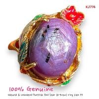 ราคา KJ774 แหวนทับทิมดิบ (ไม่เผา) สตาร์ 8-9 กะรัต ลงยามวลพฤกษา พร้อมใบเซอร์ ขนาดแหวน 55 (25838642411)