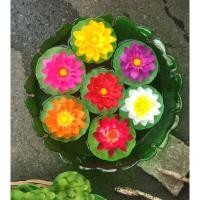 ราคา ดอกไม้แต่งร้าน#แต่งร้านสปา#ดอกไม้ลอยน้ำ#ดอกไม้พลาสติก#ดอกไม้แต่งร้านกาแฟ#ดอกบัวลอยน้ำ (4378798889)