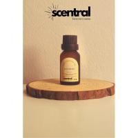 ราคา Scentral - Aroma Essential Oil 15 ml. 30 ml. 100 ml. น้ำมันหอมระเหย กลิ่นมะลิ (Jasmine) (27353927793)
