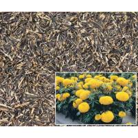 ราคา จัดส่งที่รวดเร็ว เมล็ดพันธุ์ ดาวเรืองตัดดอก ดาวเรือง (Marigold Seeds for Planting)/แพ็ค ดอกไม้จริง เมล็ดดอกไม้ เ (55604594282)