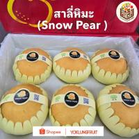 ราคา สาลี่หิมะ กล่อง 6 ลูก (Snow pear) (40525269224)