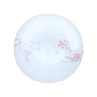 ราคา โคมไฟ หลอดไฟ โคมไฟเพดาน ไฟเพดาน LED Alma BR-5 24W DL NAGAS PL MD WH 16" (6910488690)