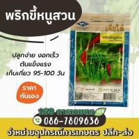 ราคา เจียไต๋ พริกขี้หนูสวน (19734617493)